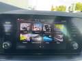 Skoda Scala 1.0TSI DSG Monte Carlo P-DACH KAMERA LED Grau - thumbnail 12