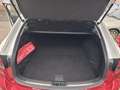 Mazda 6 Sports-Line Weiß - thumbnail 6