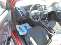 Ford Focus Turnier Business Rot - thumbnail 12