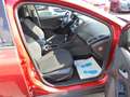 Ford Focus Turnier Business Rot - thumbnail 16