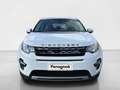 Land Rover Discovery Sport 2.0 TD4 150 CV SE Blanc - thumbnail 8