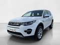 Land Rover Discovery Sport 2.0 TD4 150 CV SE Blanc - thumbnail 1