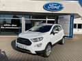 Ford EcoSport Titanium 125PS LED sofort Verfügbar Weiß - thumbnail 1