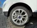 Ford EcoSport Titanium 125PS LED sofort Verfügbar Blanc - thumbnail 6