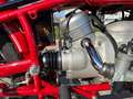 BMW R 60 /2 Rood - thumbnail 42