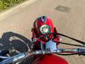 BMW R 60 /2 Rood - thumbnail 22