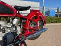 BMW R 60 /2 Rood - thumbnail 5
