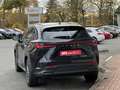 Lexus NX 450h+ NX450h+ 4x4 Business - Navi, PDC, Leder, TW, SZ Schwarz - thumbnail 5