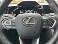 Lexus NX 450h+ NX450h+ 4x4 Business - Navi, PDC, Leder, TW, SZ Schwarz - thumbnail 10