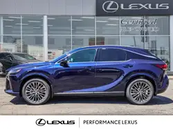 Lexus RX 2026