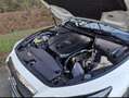 Infiniti Q50 Q50 2.2d Performance White - thumbnail 14