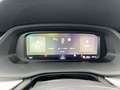 Skoda Octavia Essence TDI Grau - thumbnail 9