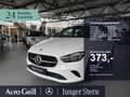 Mercedes-Benz B 200 Progressive Totwinkel Distronic OD AHK VZA Wit - thumbnail 1