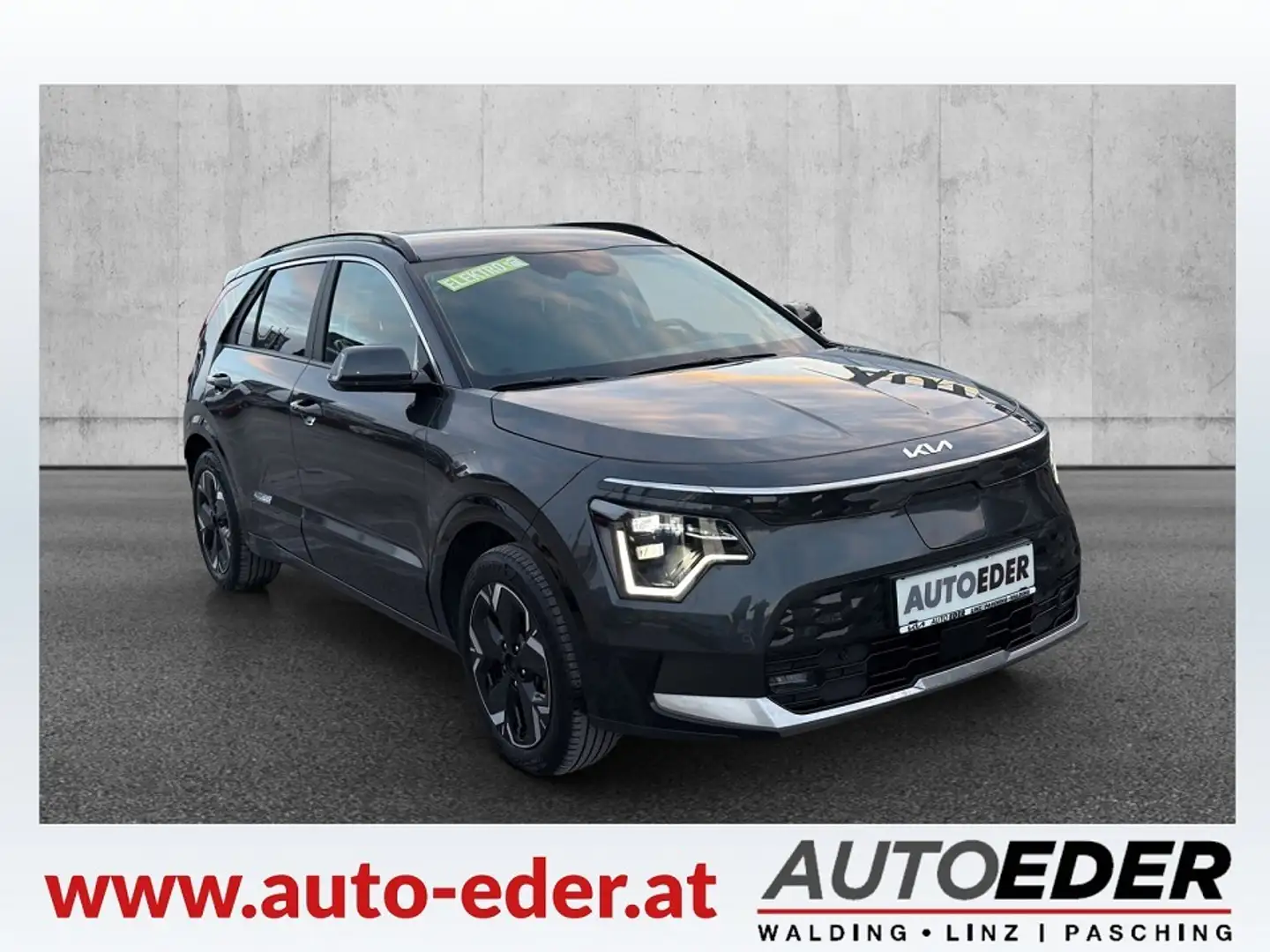 Kia e-Niro Niro EV Long Range 64kWh Gold Aut. Grau - 1