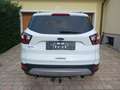 Ford Kuga Kuga 2,0 TDCi Titanium Weiß - thumbnail 6