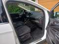 Ford Kuga Kuga 2,0 TDCi Titanium Weiß - thumbnail 5