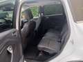Ford Kuga Kuga 2,0 TDCi Titanium Weiß - thumbnail 4