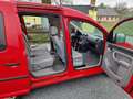 Volkswagen Caddy 1.6 Life (7-Si.) Červená - thumbnail 12