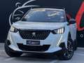 Peugeot 2008 BlueHDi 130 S&S EAT8 GT TETTO Bianco - thumbnail 15