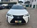 Lexus UX 200 UX 250h 2.0 Midnight 2wd cvt Blanc - thumbnail 2