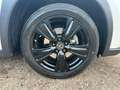 Lexus UX 200 UX 250h 2.0 Midnight 2wd cvt Blanc - thumbnail 14