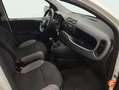 Fiat Panda Cross 1.0 Hybrid 51kw (70CV) Blanco - thumbnail 15