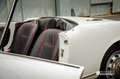 Alfa Romeo Giulia 1600 Spider Weiß - thumbnail 10