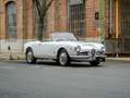 Alfa Romeo Giulia 1600 Spider Weiß - thumbnail 2