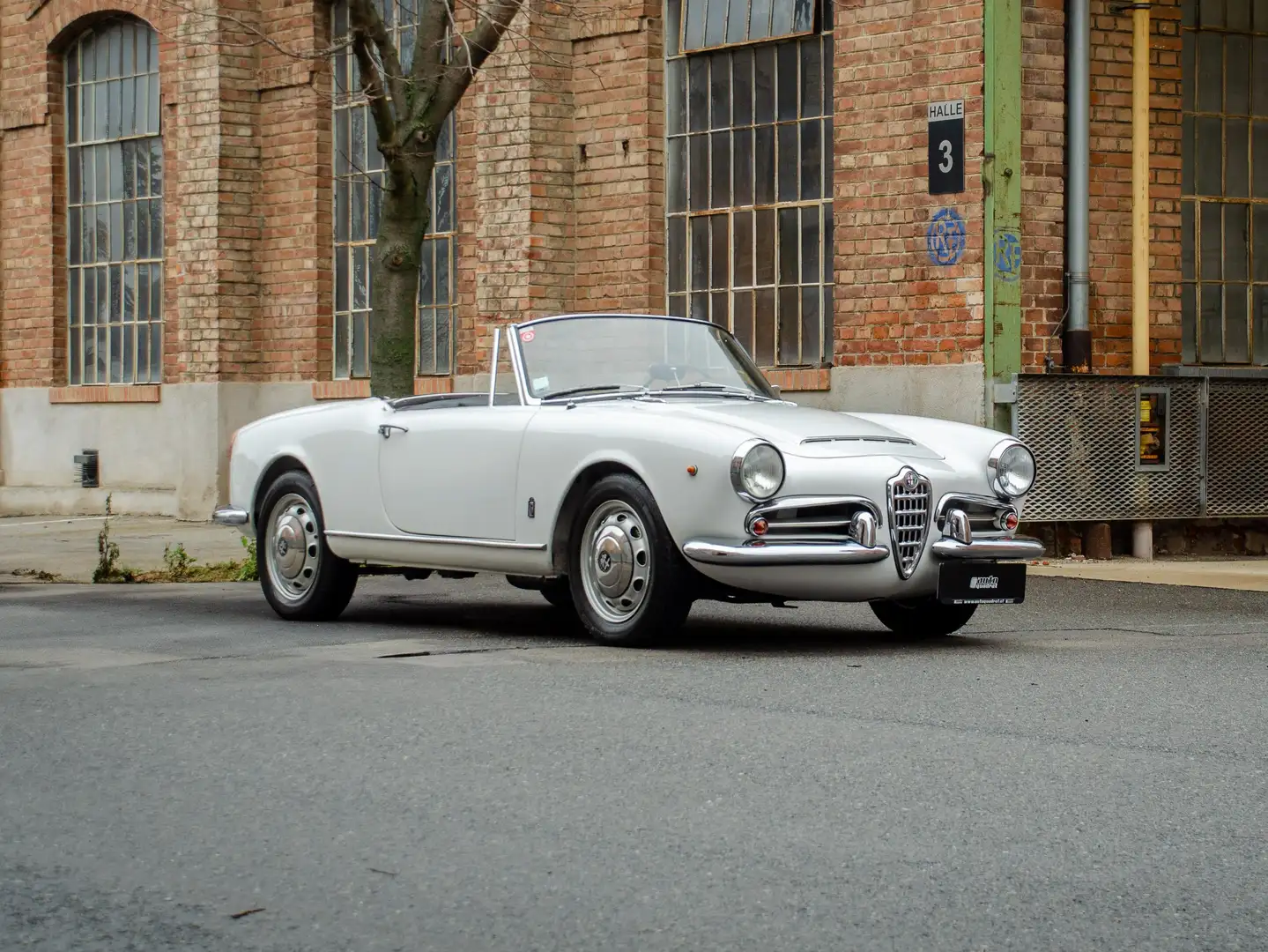 Alfa Romeo Giulia 1600 Spider Weiß - 2