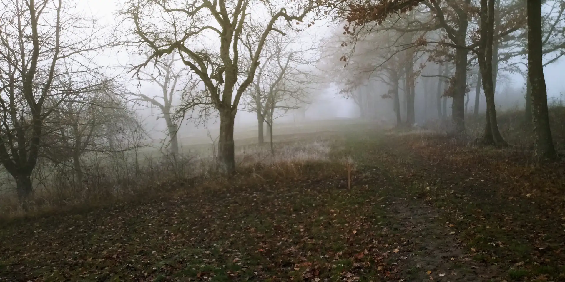 Suzuki GSF 600 Bandit S Negro - 2