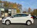 Ford Fiesta KLIMA BEH.FRONTSCHEIBE SITZHEIZUNG Weiß - thumbnail 5