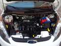Ford Fiesta 1.2 16v 5p GPL valido sino al 2026 ok neopat. E5 Wit - thumbnail 27