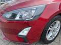 Ford Focus Wagon 1.0 EcoBoost Trend Edition Business Rosso - thumbnail 6