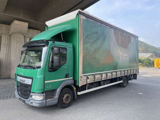 Imagine DAF LF 250 FA  KLIMA*EURO6