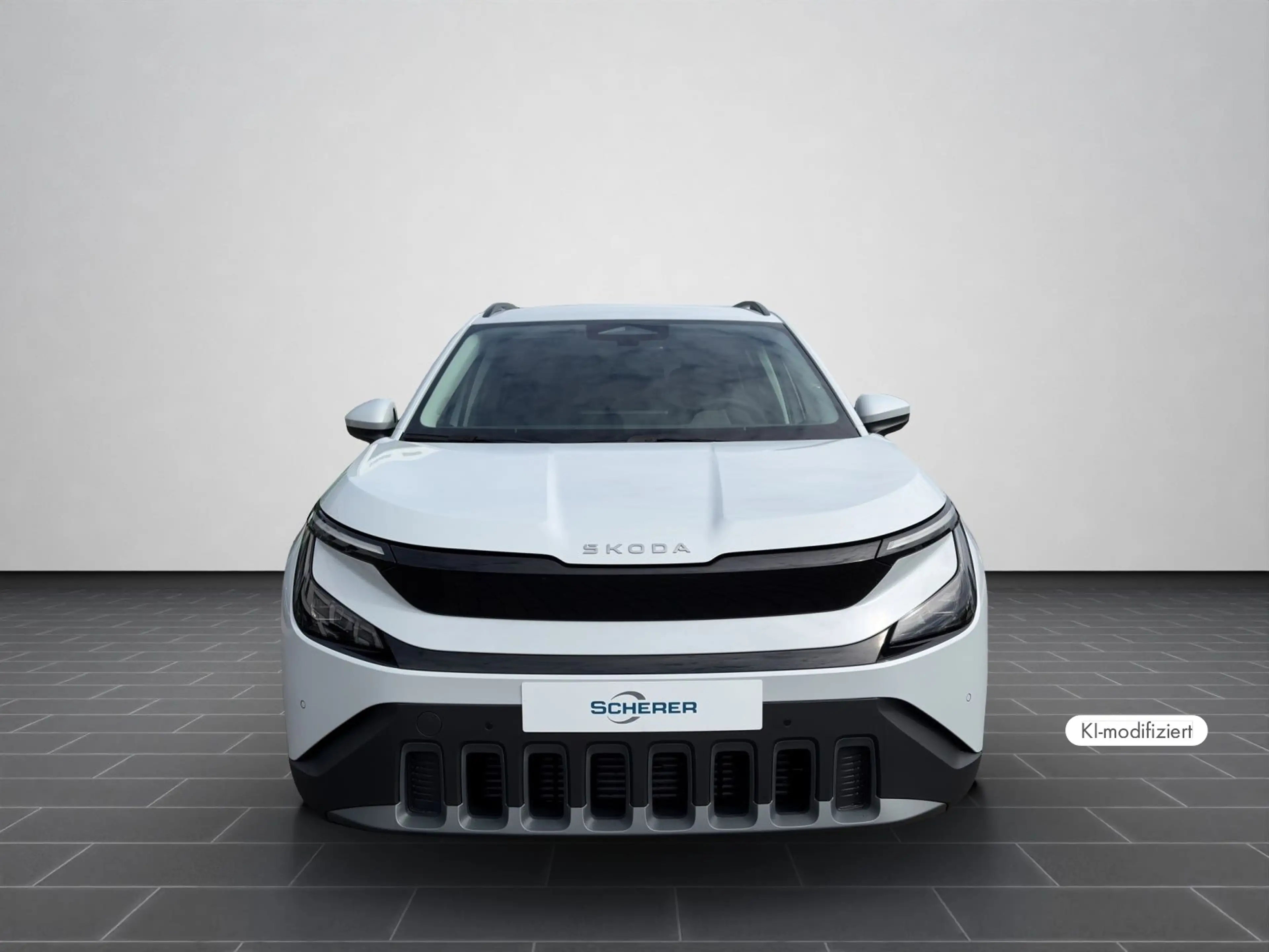 Skoda Epiq Selection 55 Edition Eins Matrix 19" Navi — photo 5