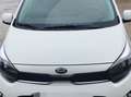 Kia Picanto 1.0 Edition 7 Bianco - thumbnail 3