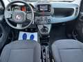 Fiat Panda 1.0 FireFly S&S Hybrid - Neopatentati Nero - thumbnail 10