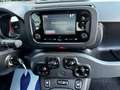 Fiat Panda 1.0 FireFly S&S Hybrid - Neopatentati Nero - thumbnail 13
