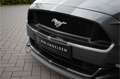 Ford Mustang Fastback 5.0 V8 GT | Performance | Handgeschakeld Grijs - thumbnail 11