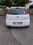 Fiat Grande Punto 5p 1.4 Actual Gpl 77cv - thumbnail 3