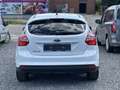 Ford Focus 1.6 TDCi  Edition //prête a immatriculer / - thumbnail 6