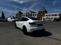Tesla Model Y Model Y Long Range Dual Motor AWD Bílá - thumbnail 4