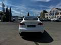 Tesla Model Y Model Y Long Range Dual Motor AWD Bílá - thumbnail 5
