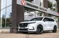 Honda CR-V 2.0 e:PHEV Advance Tech | Leder | pano-schuif k. d Argent - thumbnail 13