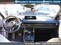 Mazda MX-30 e-SKYACTIV FIRST EDITION +LED +Navi +Kamera Weiß - thumbnail 14