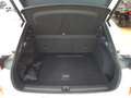 CUPRA Terramar 1.5 eTSI HUD TOP VIEW ACC TRAVEL ASSIST Blanc - thumbnail 10