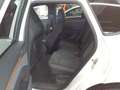 CUPRA Terramar 1.5 eTSI HUD TOP VIEW ACC TRAVEL ASSIST Blanc - thumbnail 9