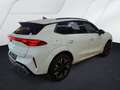CUPRA Terramar 1.5 eTSI HUD TOP VIEW ACC TRAVEL ASSIST Blanc - thumbnail 8