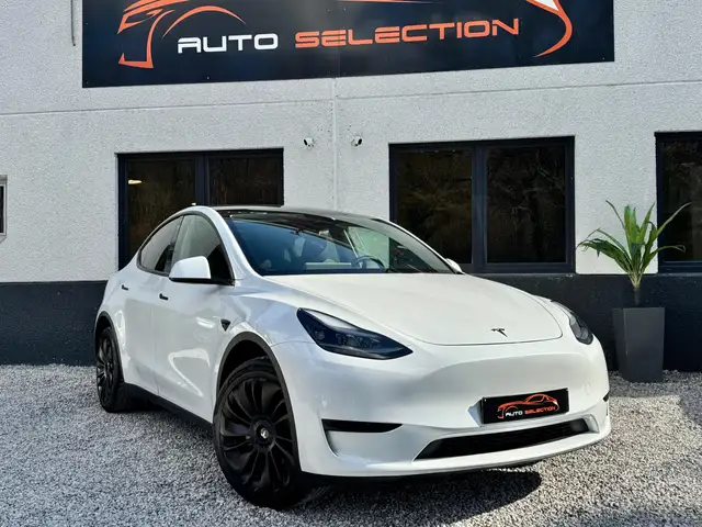 Tesla Model Y view 6