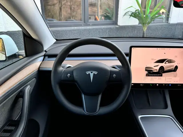 Tesla Model Y view 14